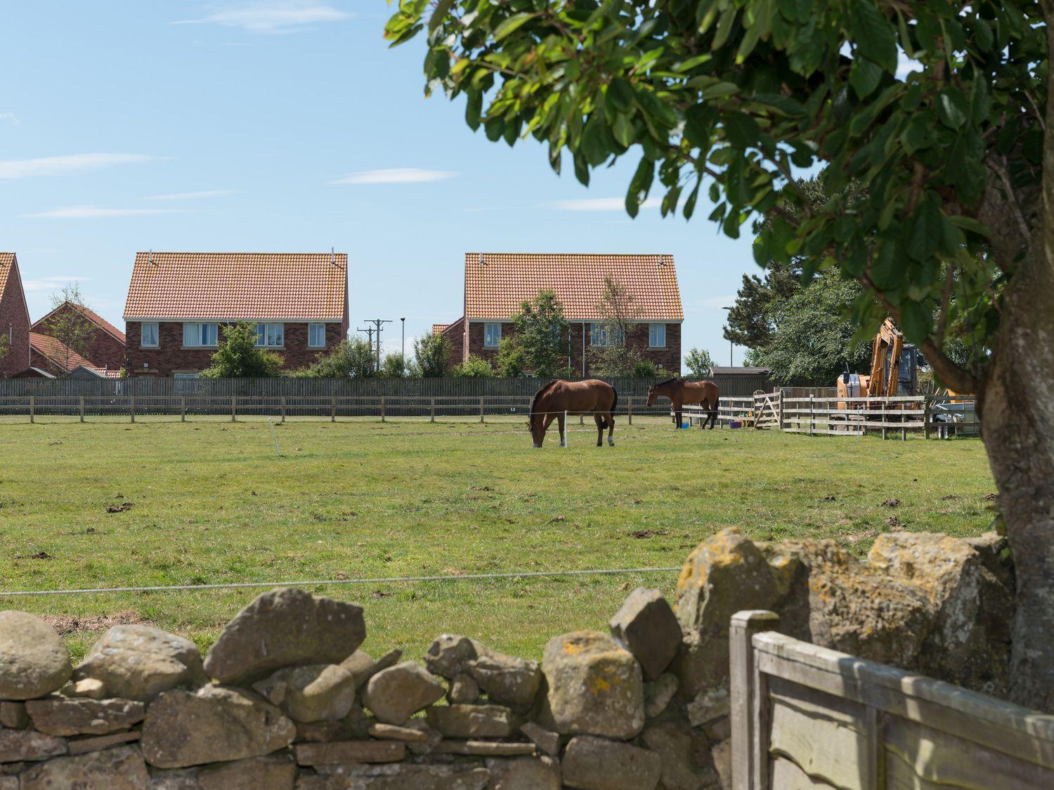 Lavender Cottage Chathill Exterior foto